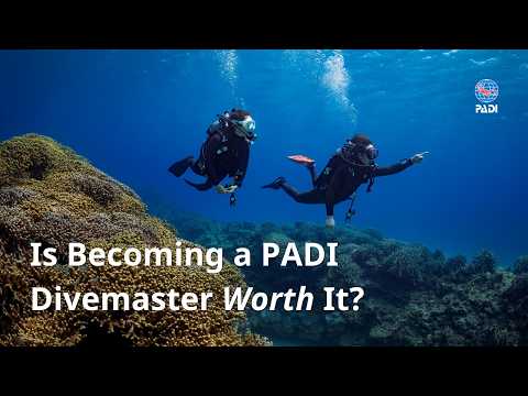 Is Becoming a PADI Divemaster Worth It? A Master Instructor's Perspective