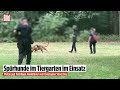 Berlin: CSD-Terror! Polizei sucht mit Spürhunden nach Attentäter Abdul Ballout