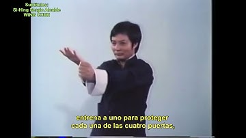 Wong Shun Leung -  DVD (1ra Parte)  Introduccion al Wing Chun - Principios Basicos (SUB ESPAÑOL)