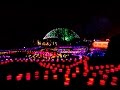 Botanical Gardens Lights St Louis