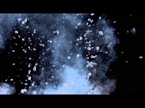 Transform Your Life With The ALIVE Academy - Health and Wellness Center Rhode Island