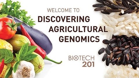 2015 Biotech 201 Session 2 - Crop Improvement