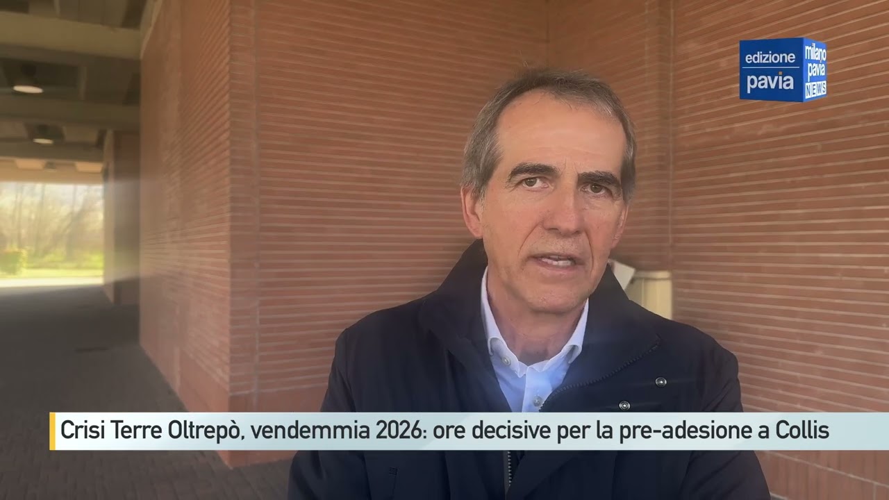 Crisi Terre d'Oltrepò, vendemmia 2026: ore decisive per la pre-adesione a Collis Veneto Wine Group