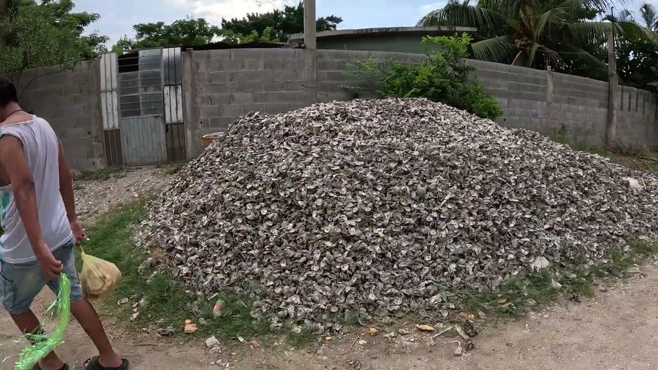 caminando en pueblo viejo veracruz