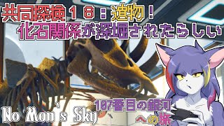 【No Man‘s Sky】共同探検１８：遺跡！化石関連がかなり充実したらしい　～107番目の銀河への旅～【ケモノVTuber/紫鼬ハクナ】