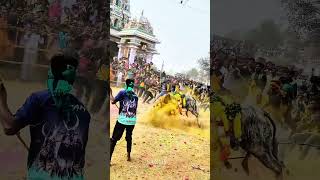 சுள்ளான் entry😈💥