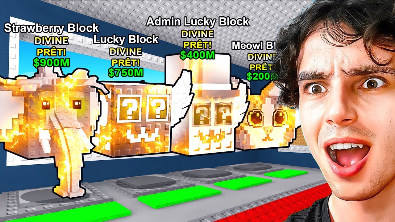 J’AI OUVERT 100 LUCKY BLOCKS DIVIN !! 