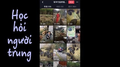 Dúi trung quốc | Dúi mốc đại | Học hỏi người trung quốc nghề nuôi dúi mốc đại | Chuột Tre 360