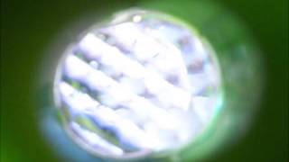 Version 1 of the video