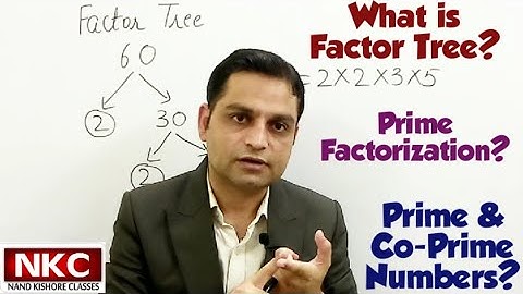What is Factor Tree? What are Prime & Composite Numbers? What is Prime Factorization?
