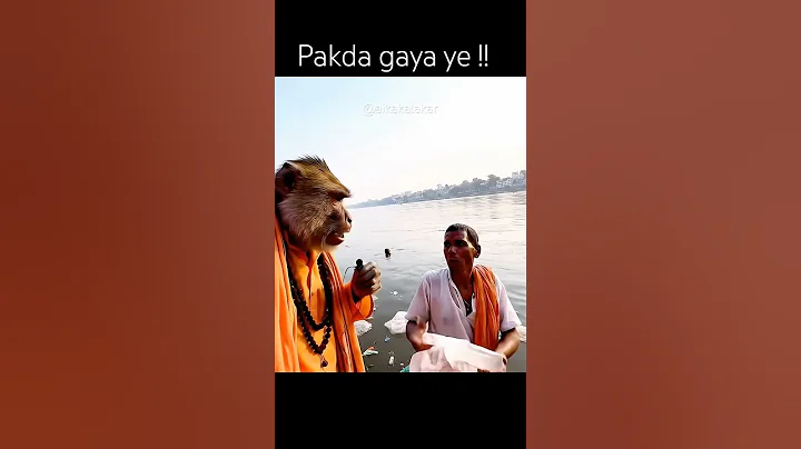 Aaj pakda gaya ye !! Ai monkey vlogs #aikakalakar #aimonkeyvlogs #reels #monkeyvlogs #veo3 #shorts