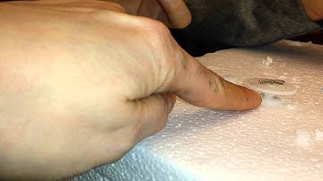 Energy Conversion Lab