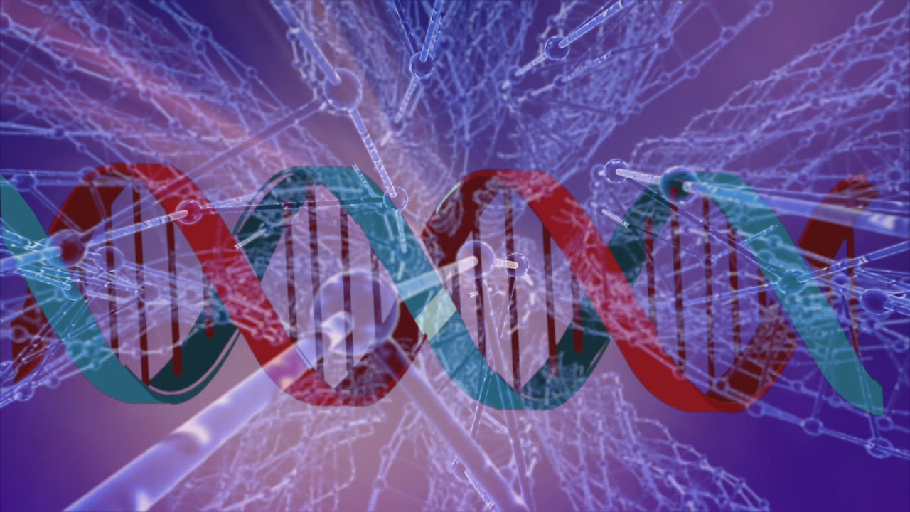 Local Legislator Defends the Unborn with the Law