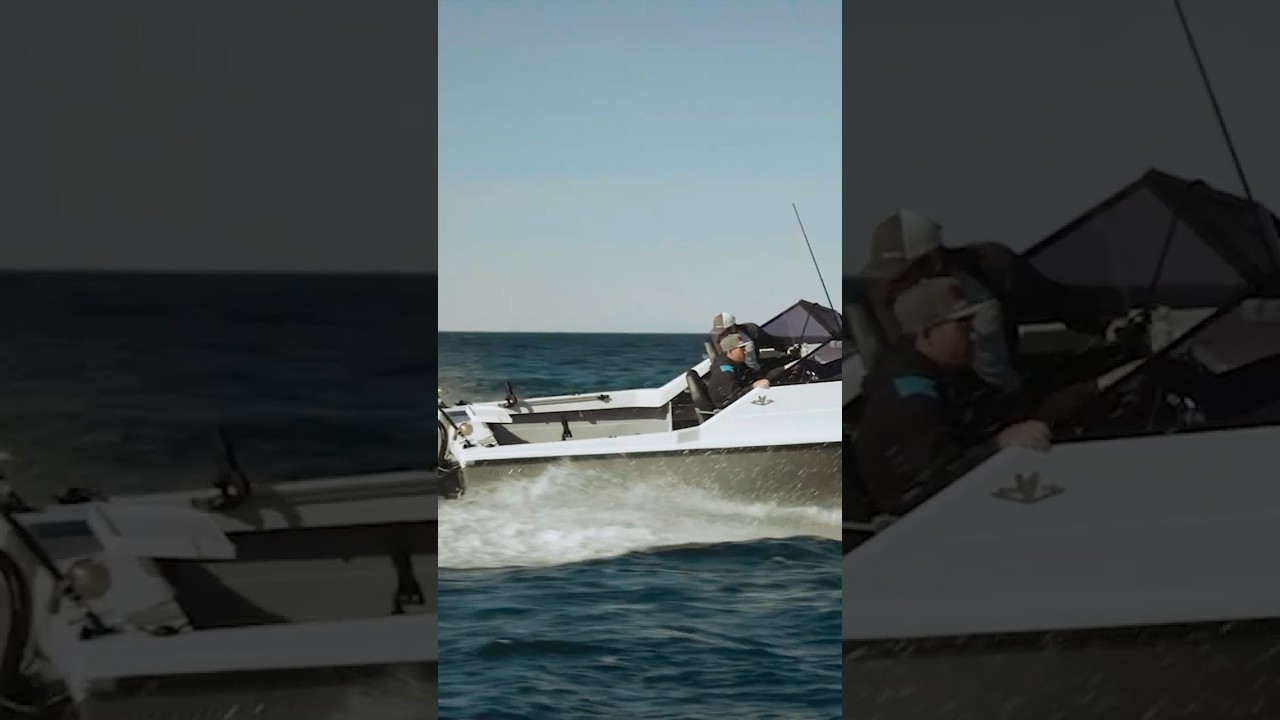 新品未開封！THE LEGEND OF BERTRAM WHOW 2025. Bertram 31 and Blackfin 32 walk through.