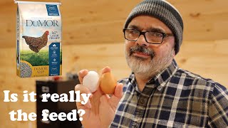 The Tractor Supply Chicken Feed No Eggs Nonsense. Is it True? Watch And Find Out