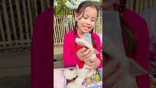 Di kasih boneka kelinci sama Clara #shortvideo