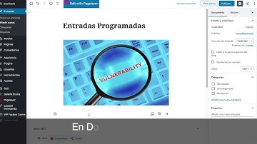 ¿Cómo programar entradas en Wordpress?