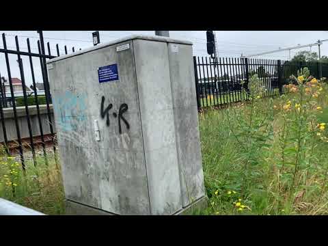 Treinen in schagen