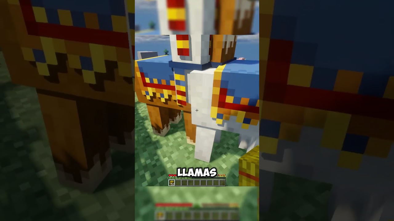 Trader llamas are cooler than regular llamas 