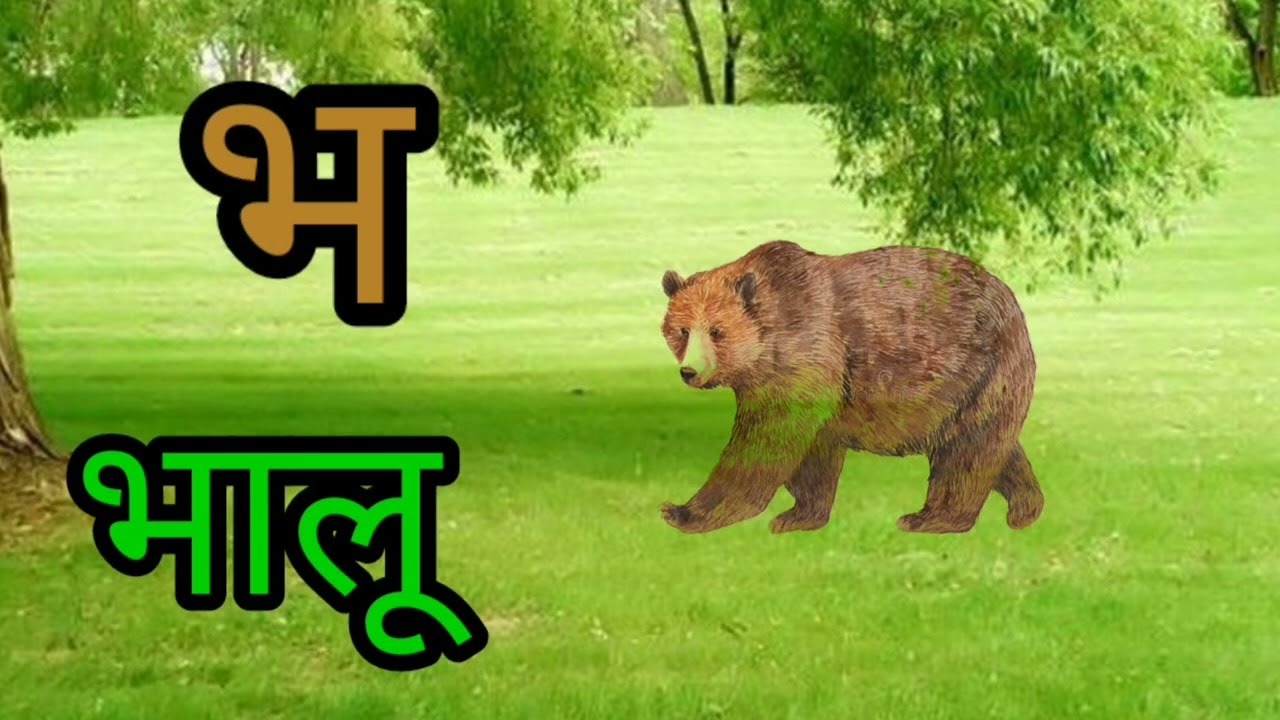 अ से अनार ,आ से आम ,A for  ant, B for Ball, Learning with pictures........