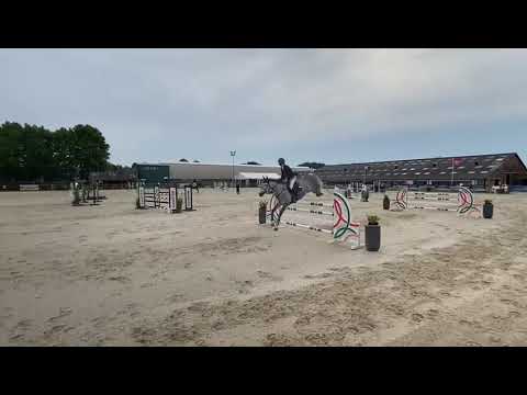 Panache vd Wateringhoeve - CSIYH1* 7&8y old - Grote Breugel - 05 06 2022