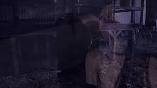 Miniatura de vídeo de "Dondria - Haunted (Lyric Video)"
