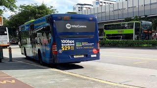 (Whizcomms By Singtel) SG1098A(SEDEP 804) On Service 811 At Yishun Avenue 2