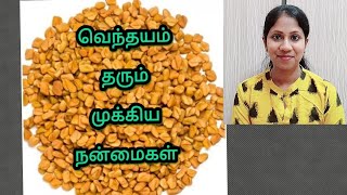 வெந்தயம் பயன்கள்|vendhayam benefits in tamil|fenugreek benefits in tamil|littleheartstamil