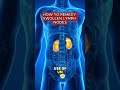 how to remedy swollen lymph nodes ✅ 🔗🔗🔗🔗🔗🔗🔗🔗🔗🔗🔗🔗🔗 👉Discover How to Heal Your Body Nat