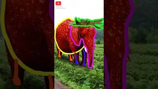 Drawing Strawberry Elephant Og Brainrot