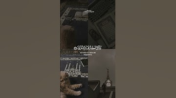 { وإن ربك لذو فضل على الناس } القارئ سعد الغامدي 🤎🤍 #سورة_النمل #قرآن