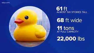Meet the world's largest rubber duck