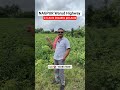 2.5 Acre Agriculture Land for Sale  Nagpur–Warud Highway Fertile Farmland | Raya Properties #shorts