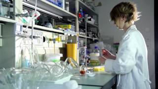Famous Frontiers - Open Access Publication and Research Networking Net Worth