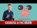 The Best Type of Exercise for Your Brain