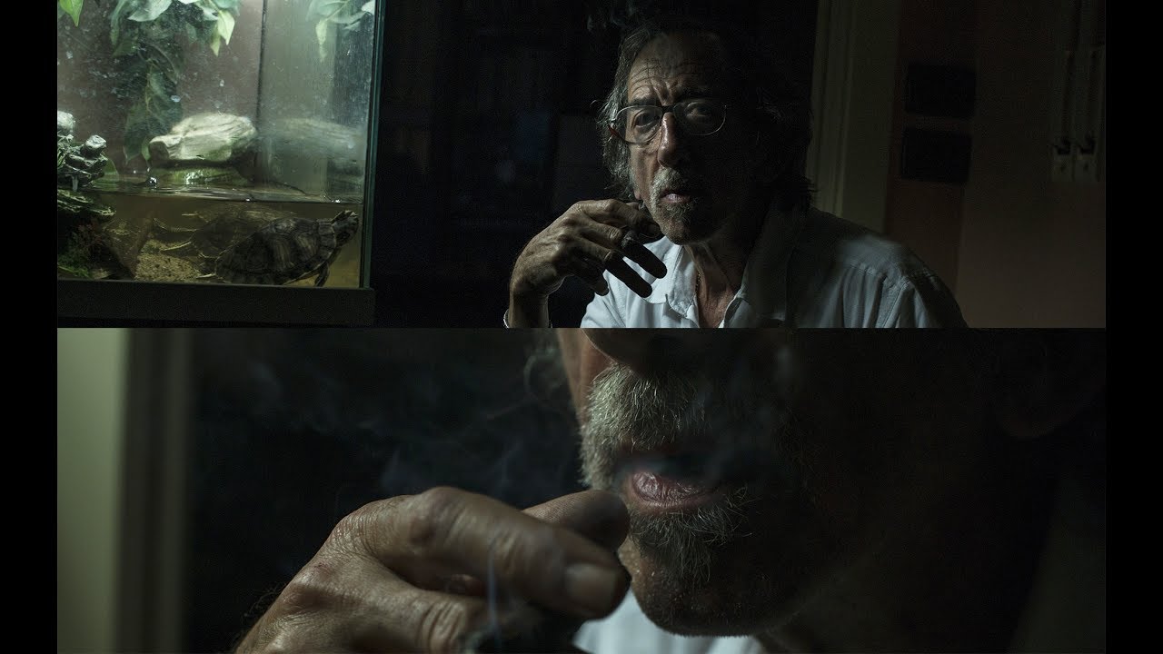 Videocrazia low light