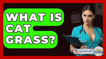 What Is Cat Grass? - Ask A Pet Vet
