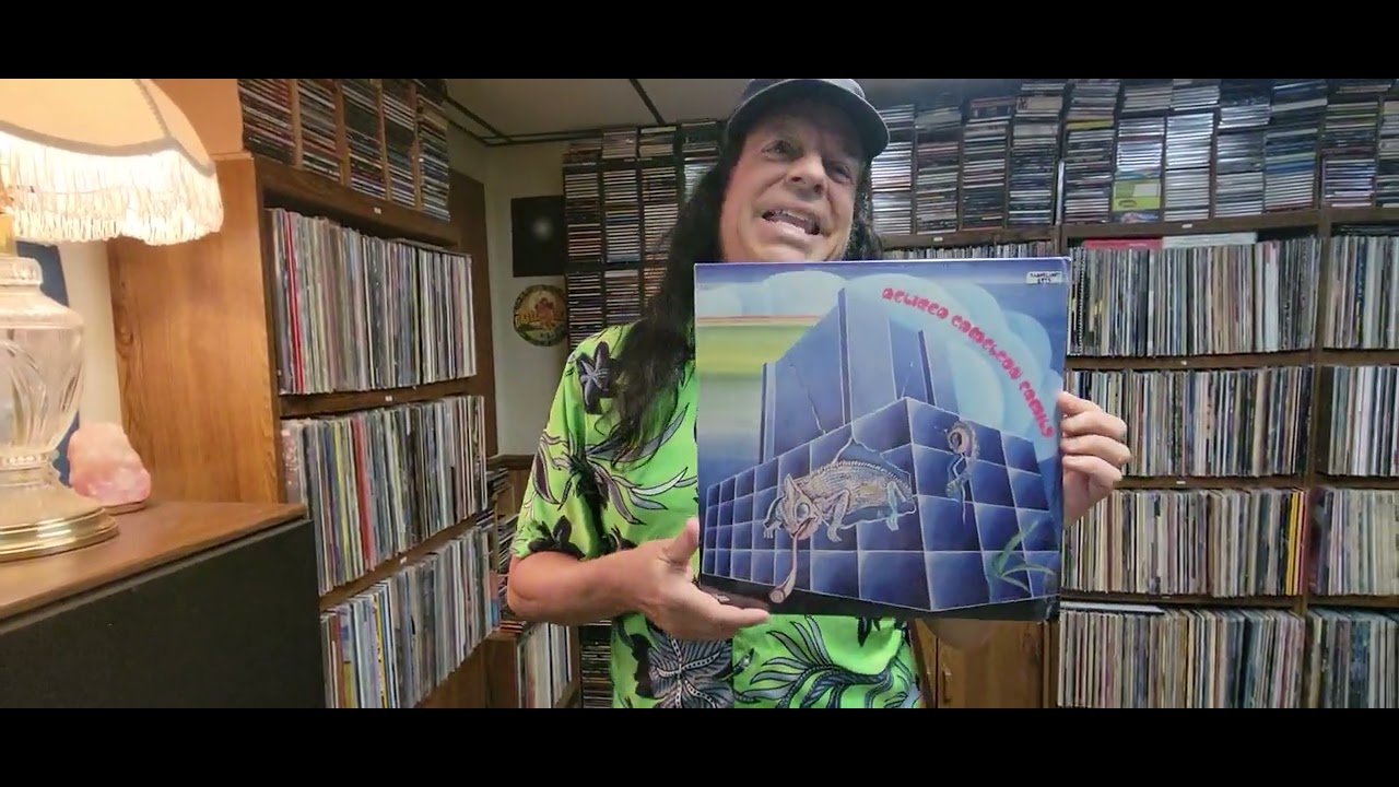 洋楽 Delired Cameleon Family Delired Cameleon Family | Delired Cameleon Family | Wah Wah