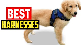 ✅Top 5 Best Harnesses for Golden Retrievers in 2024 by The Pets Products 37 views 5 days ago 4 minutes, 29 seconds