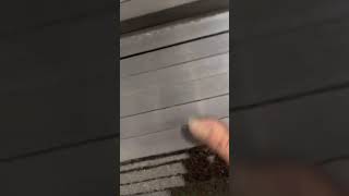 Xả Băng Thép Không Gỉ Sus444 Độ Dày 1.5 Và 2.5