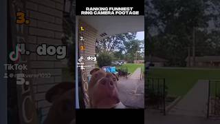 Funniest Ring Camera Moments Caught on Camera 😂 #shorts #ringcamera #funny #fails #caughtoncamera