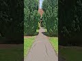 This Road Is Hiding Something...#church #Uk