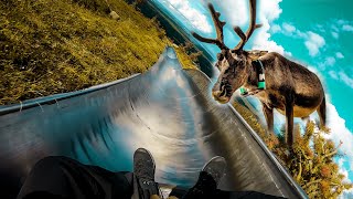 Experience Lapland summer under 25 seconds Vol. 1 Shorts