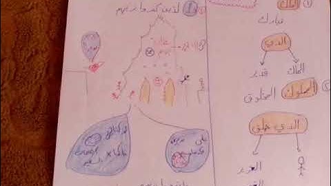 تسهيل حفظ سورة الملك عبر الخريطة الذهنية 🥰🥰