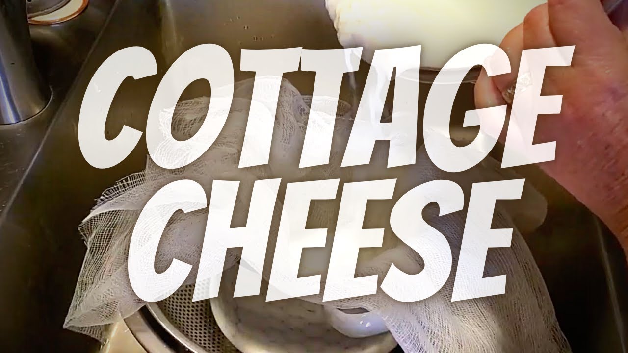 Home Made Cottage Cheese YouTube
