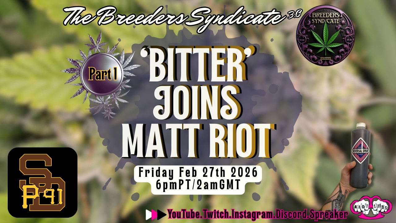 Bittersweet SD San Diego p91  Yokozuna  Cannaluminati Projects Upcoming PART1