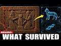 The Sumerian Tablet That Says Cats Were Sent to Earth for One Purpose — And They Never Stopped