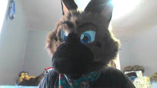 welcome to alex abdl info hour episode one clothes shopping for abdls and baby furs