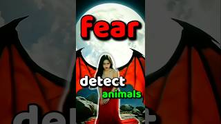 5 Incredible Animals That Can Sense Your Fear!