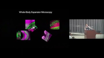 AI-Accelerated Discovery of Body-Wide Cellular Communication Networks: Creating a New Scientific...